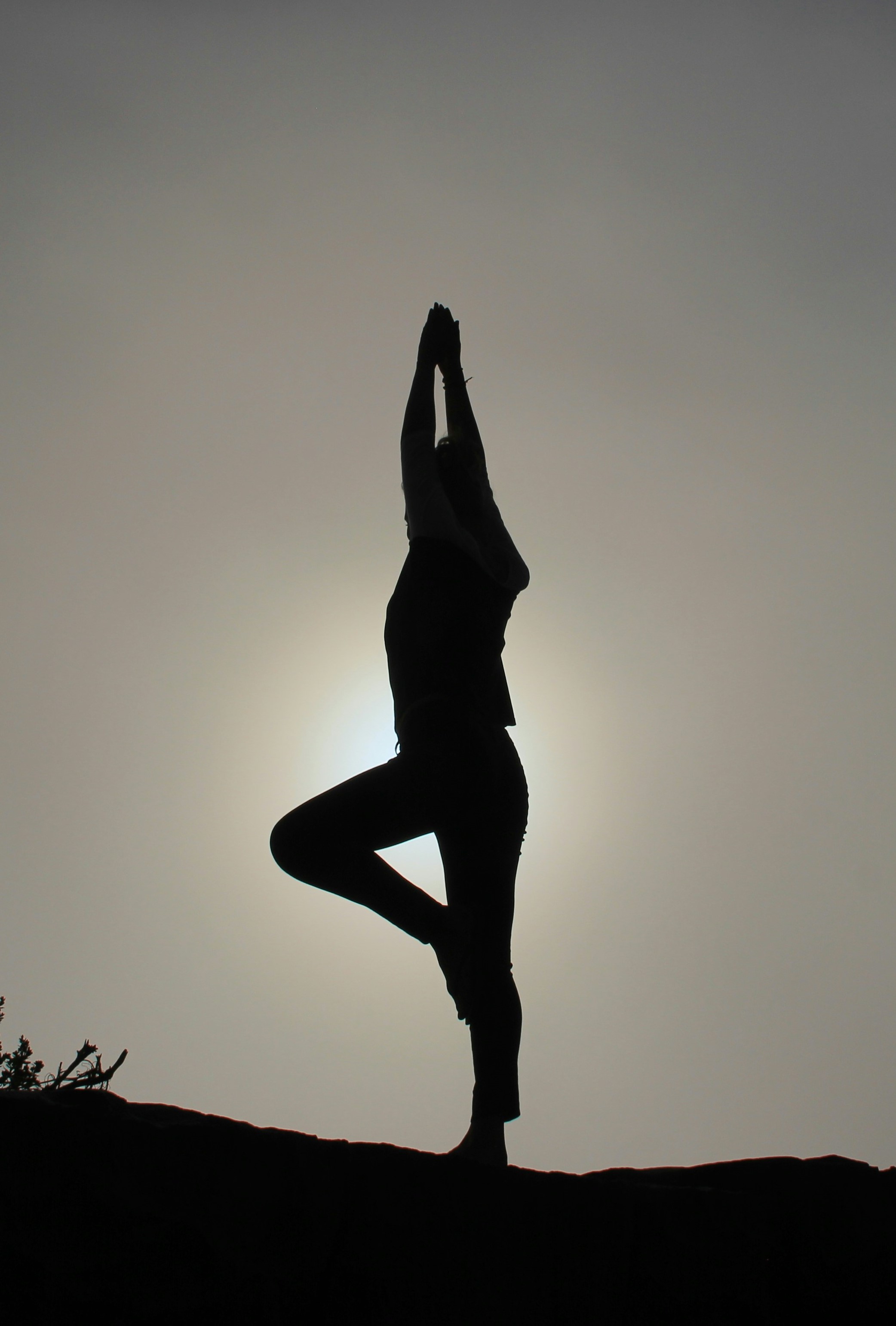 Yoga pic